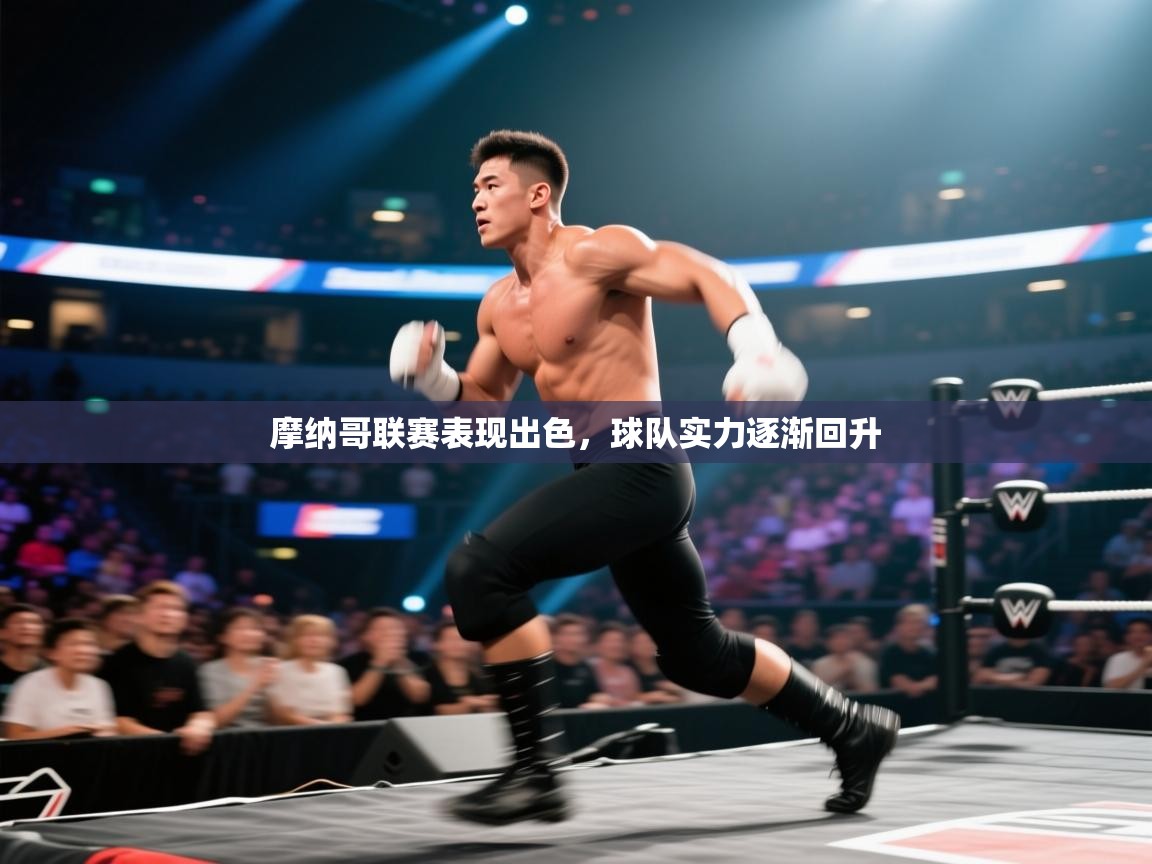 摩纳哥联赛表现出色,球队实力逐渐回升 第2张