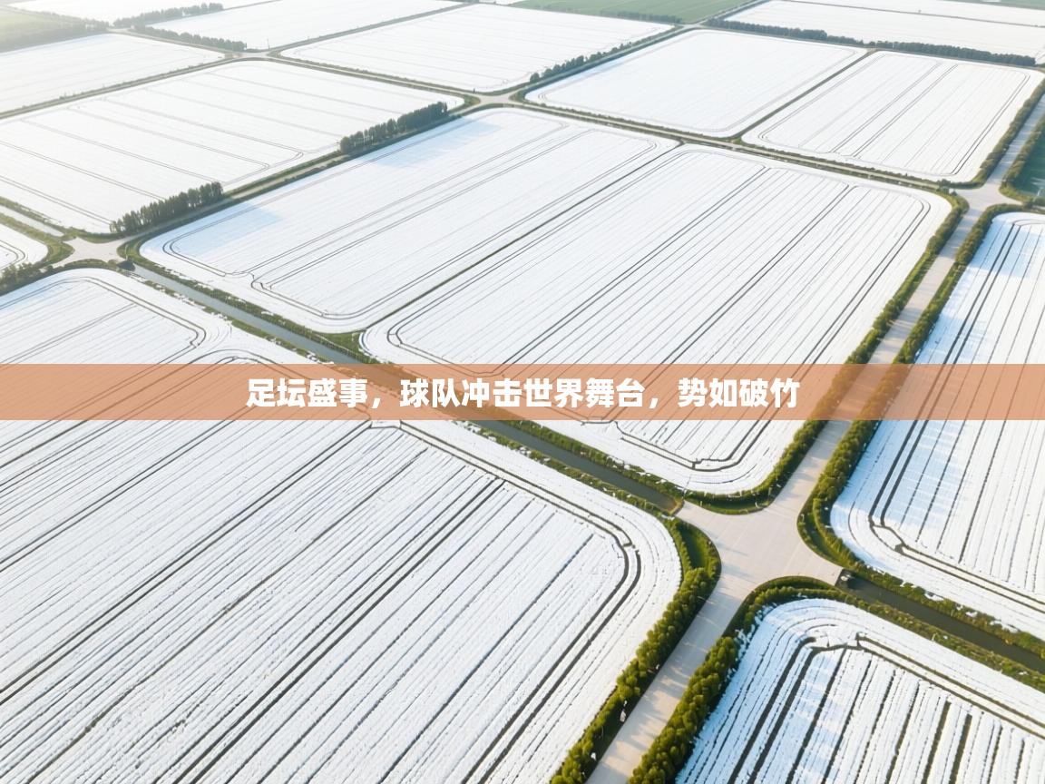 足坛盛事，球队冲击世界舞台，势如破竹  第2张