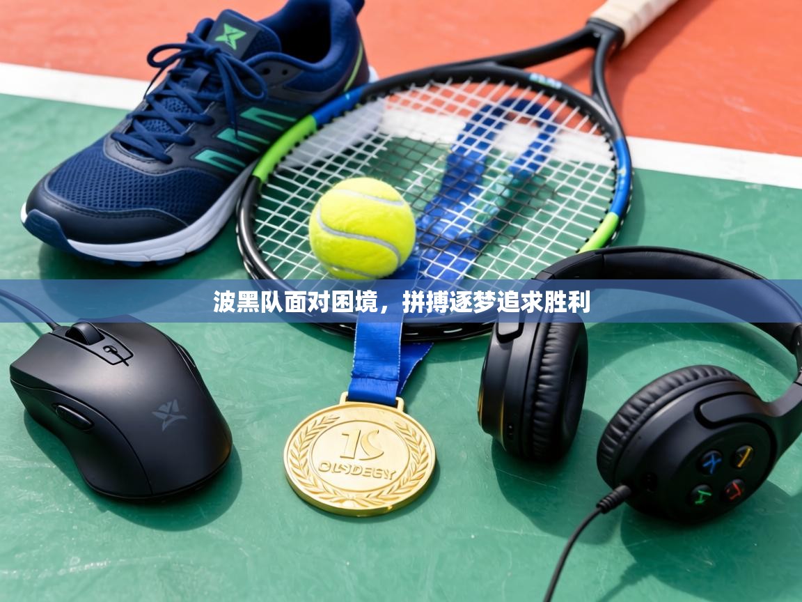 波黑队面对困境，拼搏逐梦追求胜利  第1张